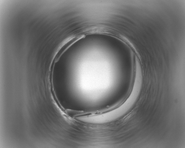 X0000065971434200603241901