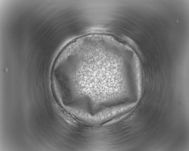 X0000065971435200603241901