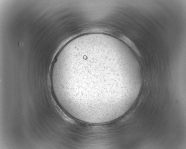 X0000065971436200603241902