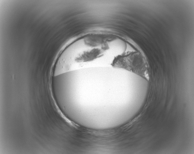 X0000065971437200603241902