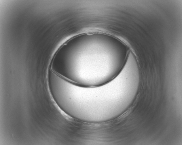 X0000065971438200603241902