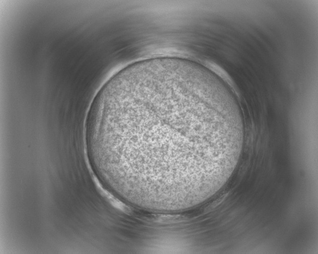 X0000065971439200603241902