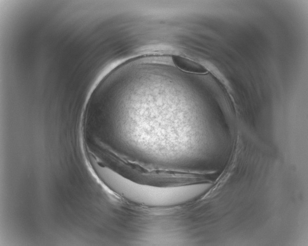 X0000065971440200603241902