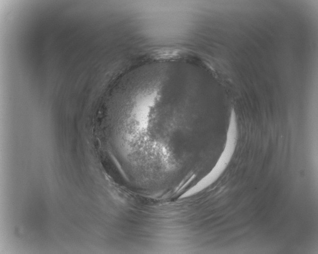 X0000065971441200603241901