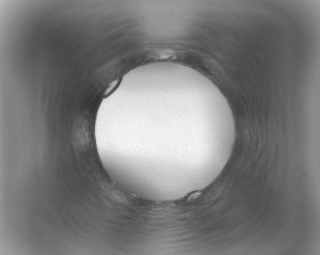 X0000065971442200603241901