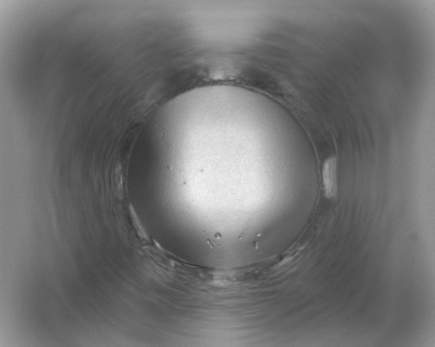 X0000065971443200603241901