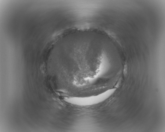 X0000065971445200603241901