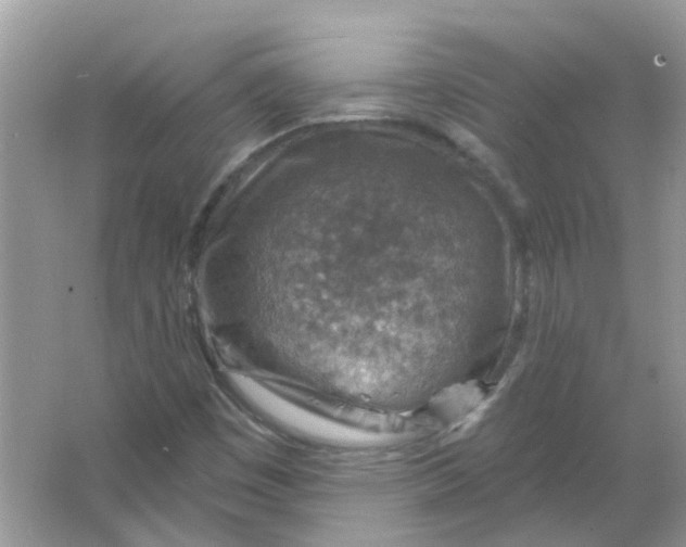 X0000065971449200603241901