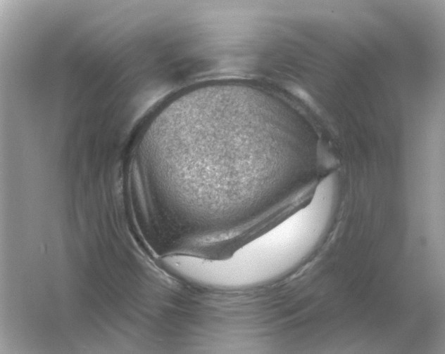 X0000065971450200603241901