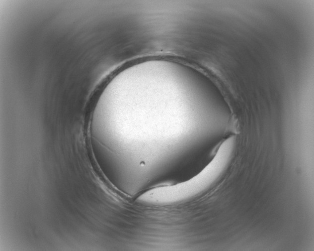 X0000065971452200603241901