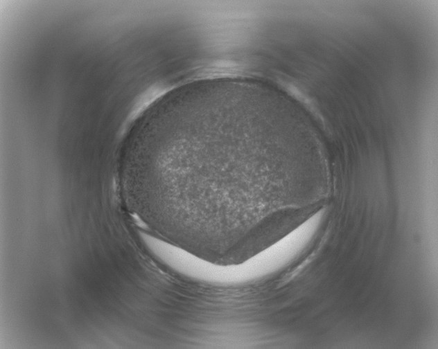 X0000065971453200603241901