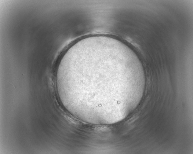 X0000065971454200603241901