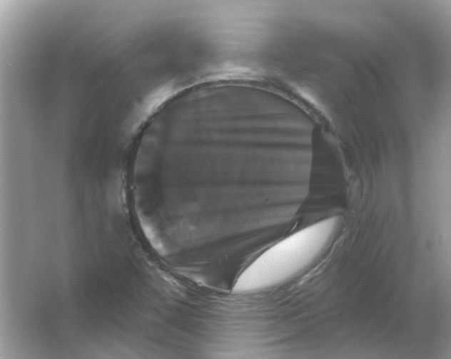 X0000065971455200603241901