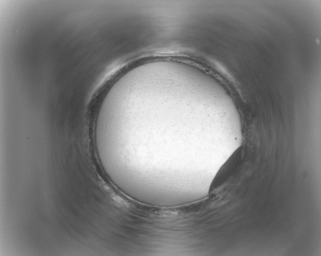 X0000065971456200603241901