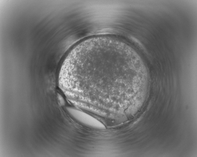 X0000065971457200603241900