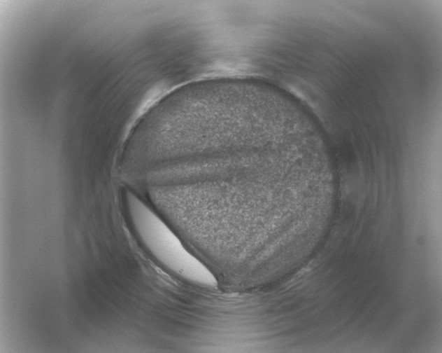 X0000065971459200603241900