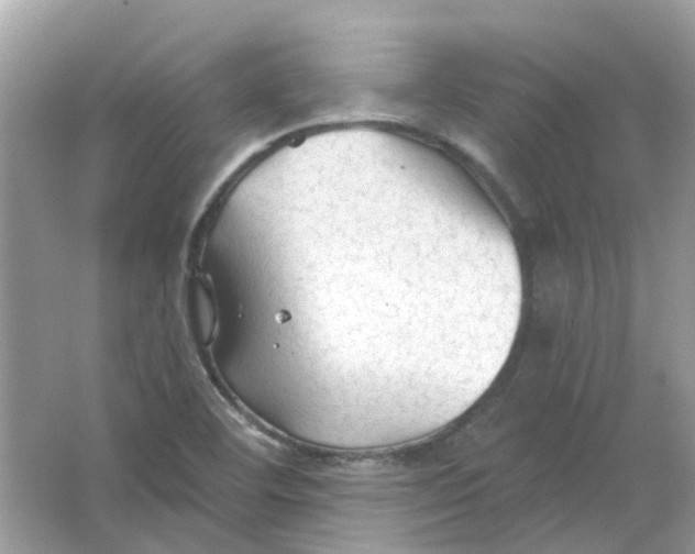 X0000065971460200603241900