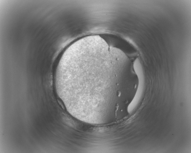 X0000065971461200603241900