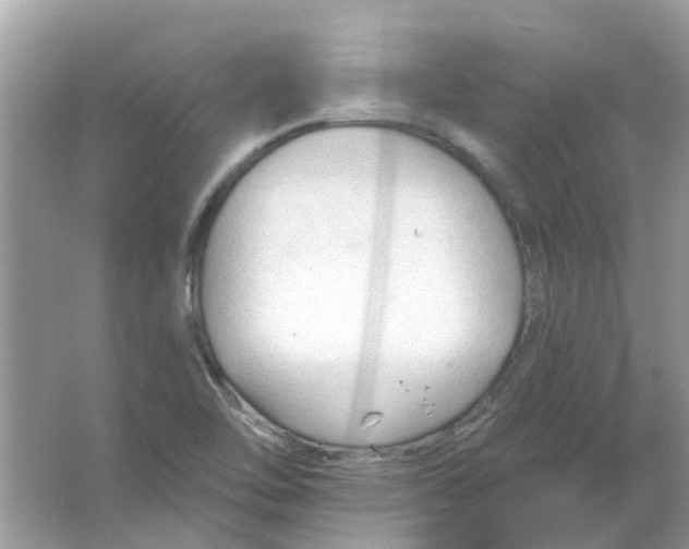 X0000065971462200603241900