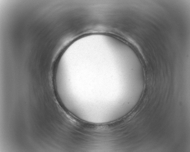 X0000065971464200603241900