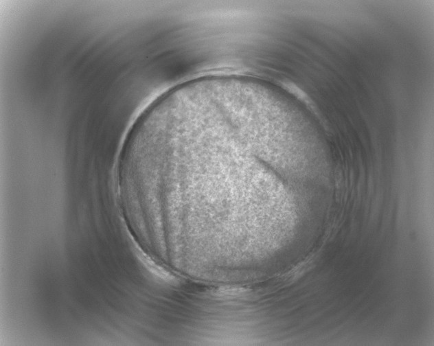 X0000065971466200603241900