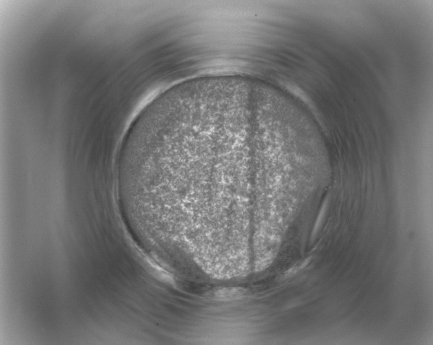 X0000065971467200603241900