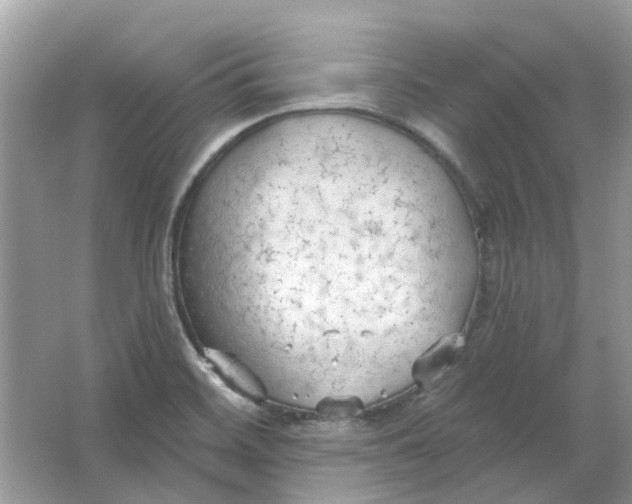 X0000065971468200603241900