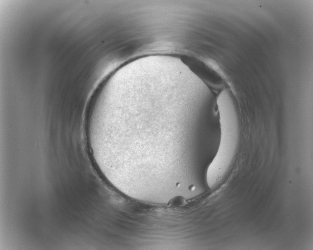 X0000065971469200603241900