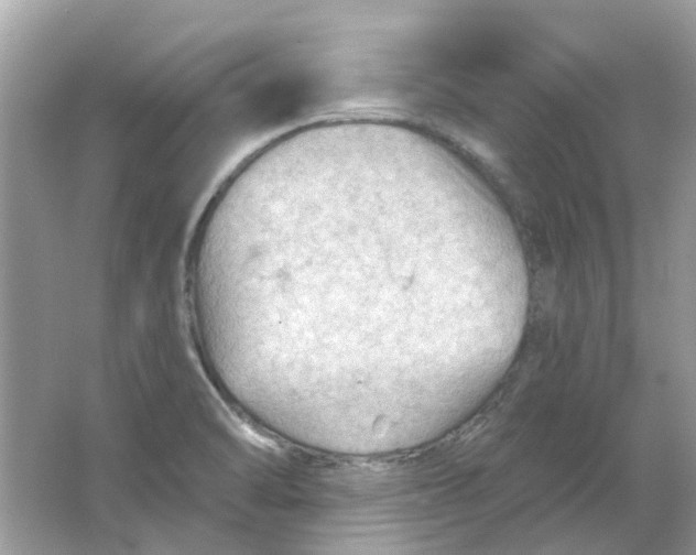 X0000065971470200603241900