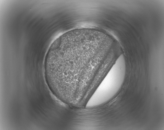 X0000065971471200603241900