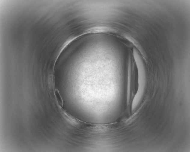 X0000065971473200603241900