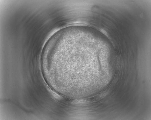 X0000065971474200603241900