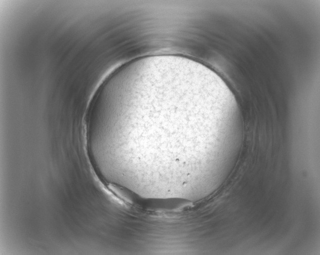 X0000065971476200603241900