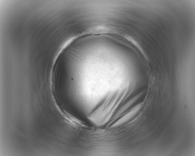 X0000065971477200603241900