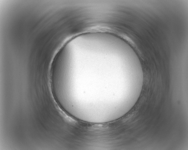 X0000065971478200603241900