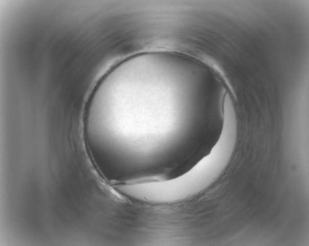 X0000065971480200603241900