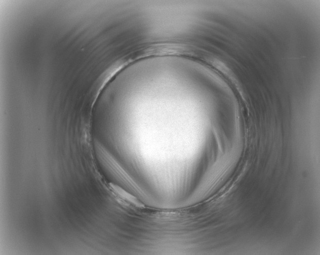 X0000065971481200603241900