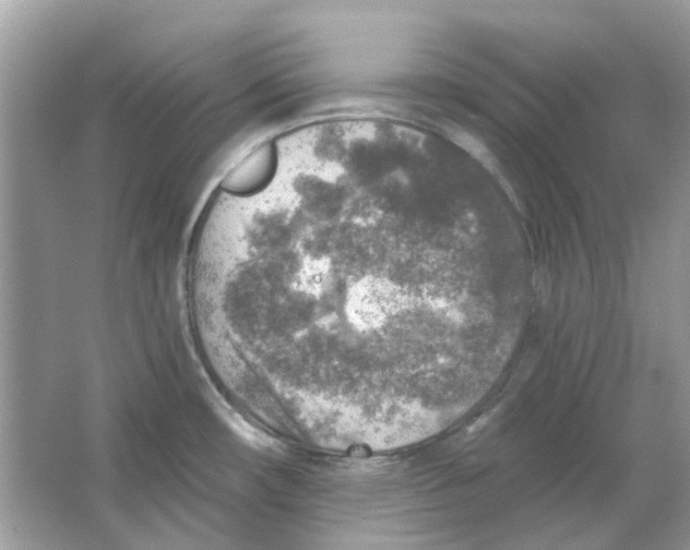 X0000065971482200603241900