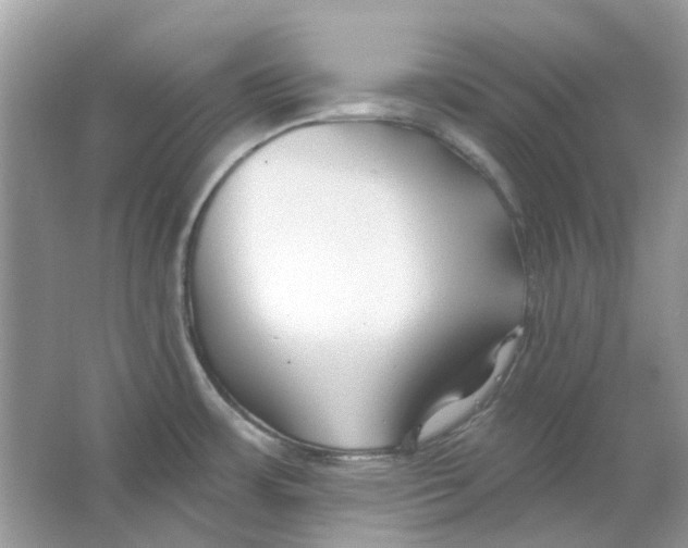 X0000065971483200603241900