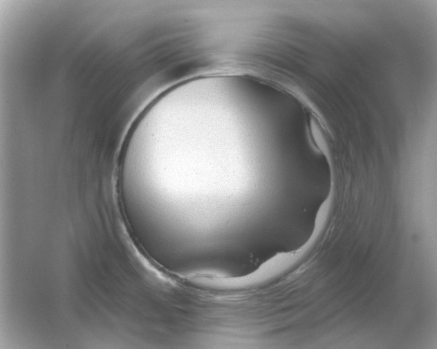 X0000065971484200603241900