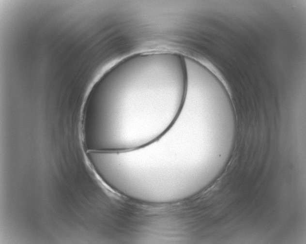 X0000065971485200603241900