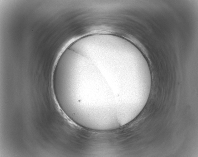 X0000065971488200603241900