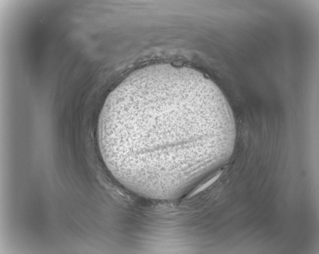 X0000065971489200603241859