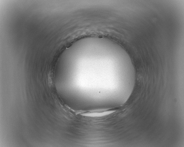 X0000065971490200603241859