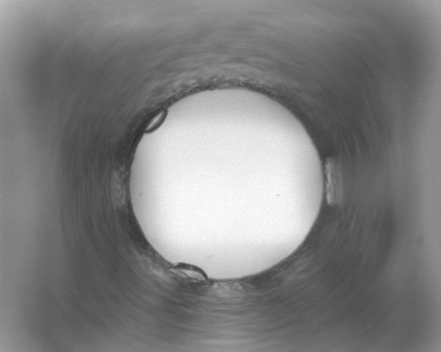 X0000065971491200603241859