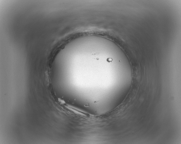 X0000065971493200603241859