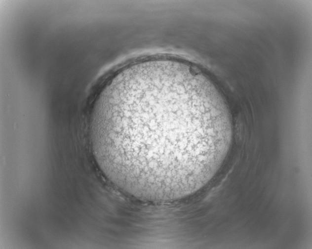 X0000065971494200603241859