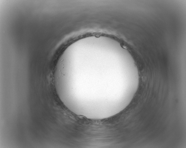 X0000065971495200603241859