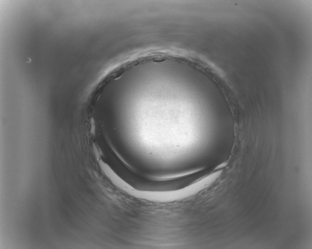 X0000065971496200603241859