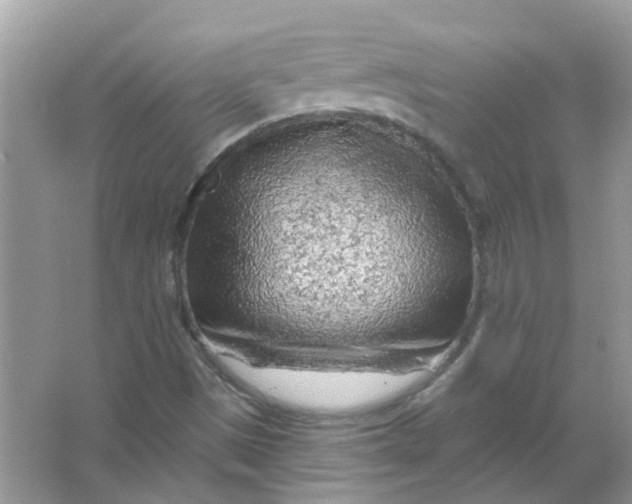 X0000065971497200603241859